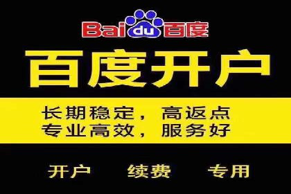案例剖析：百度SEM助力企业实现品牌与产品双赢